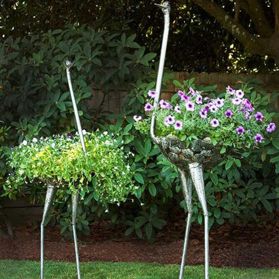 Ostrich Plant Holders