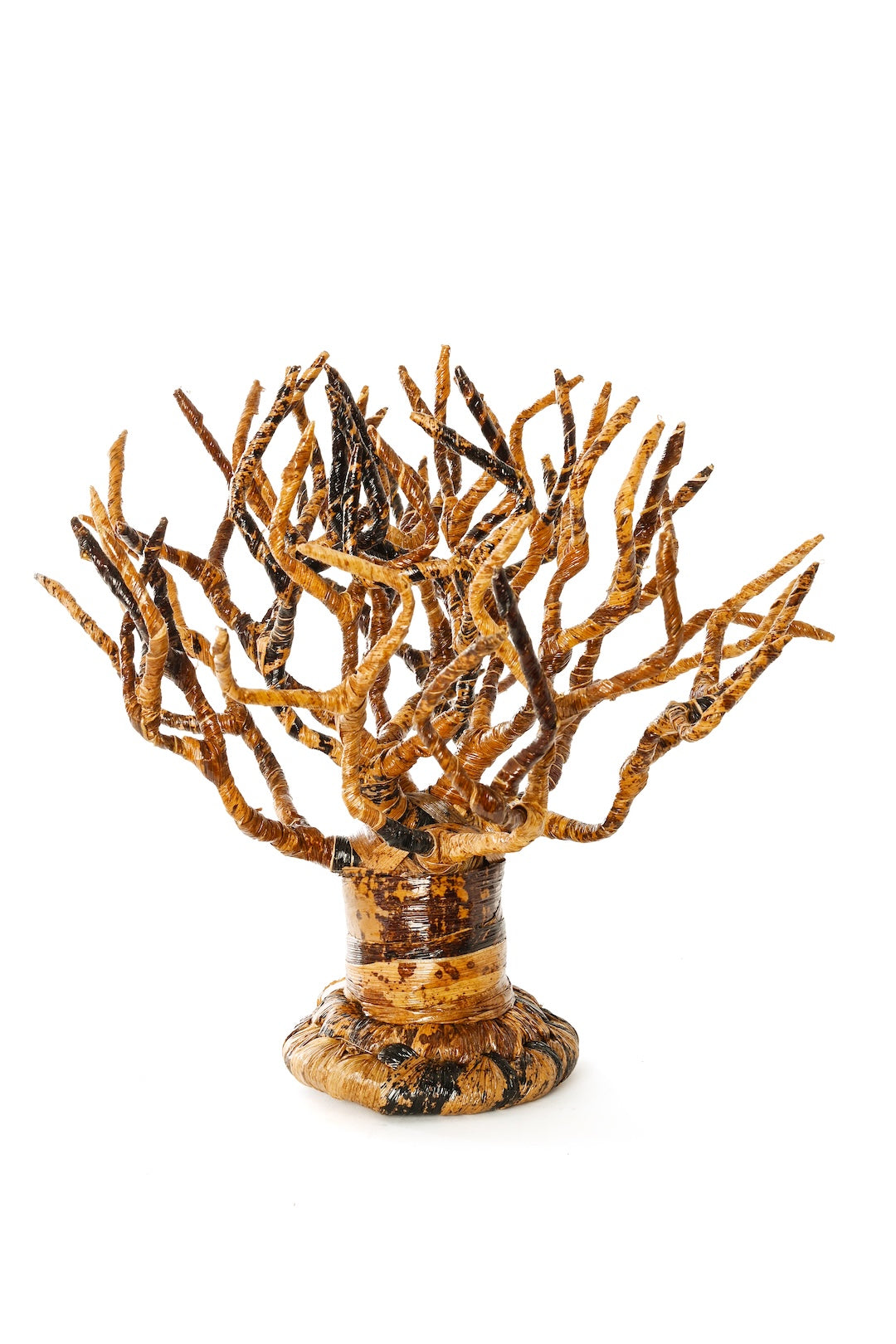 Petite Banana Fiber Baobab Tree