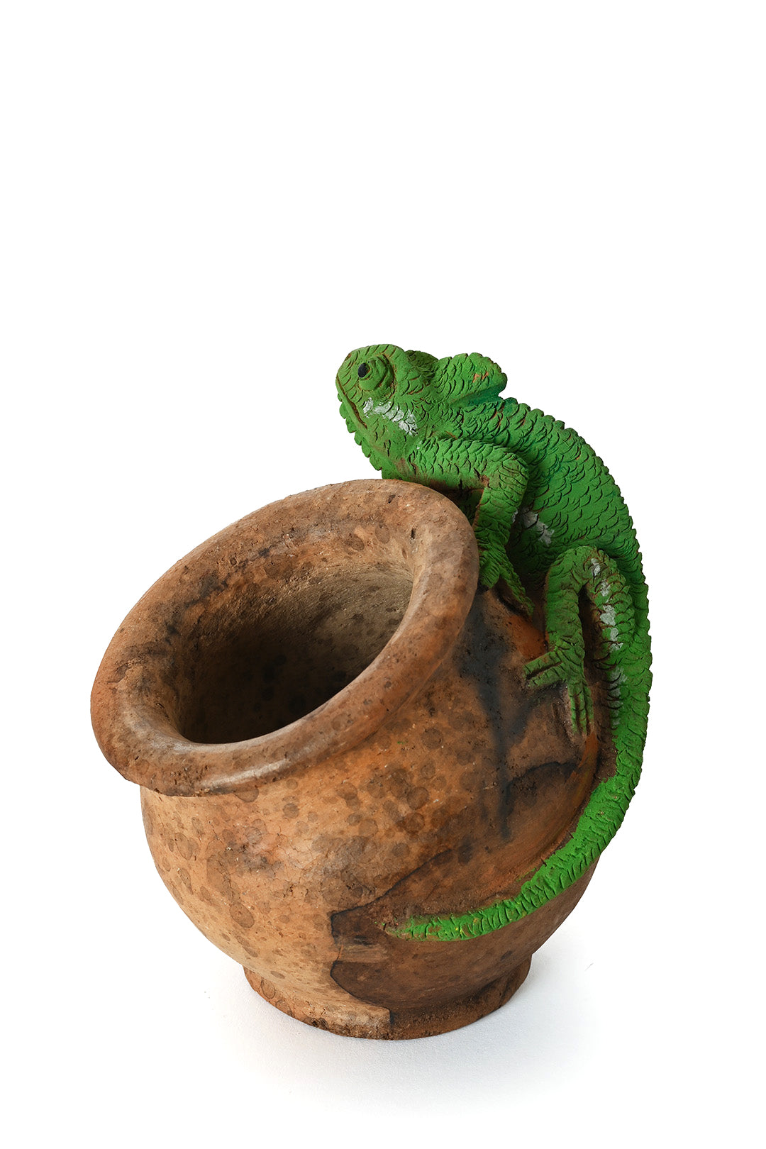 Ceramic Chameleon Slanted Pot