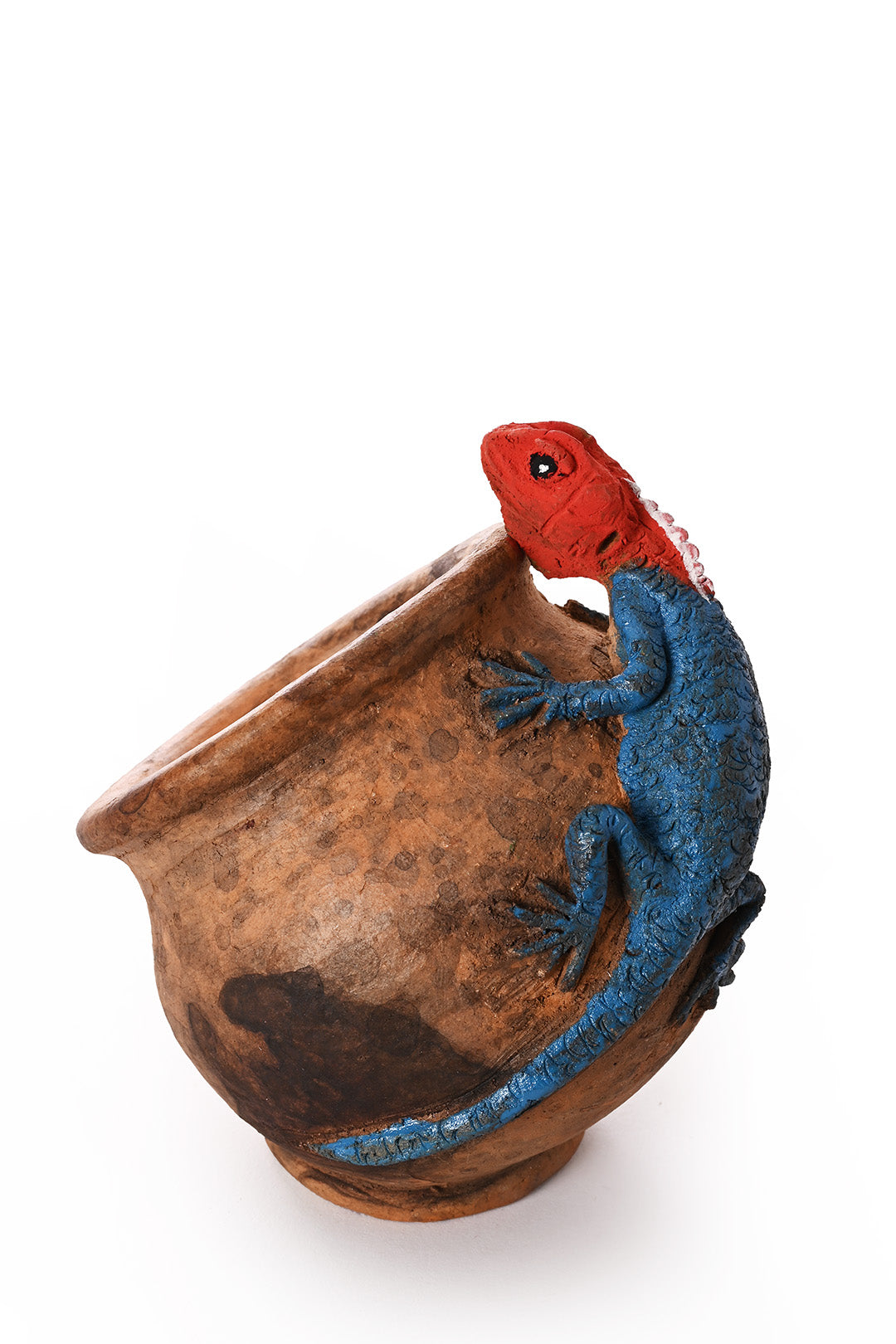 Ceramic Agama Lizard Slanted Pot