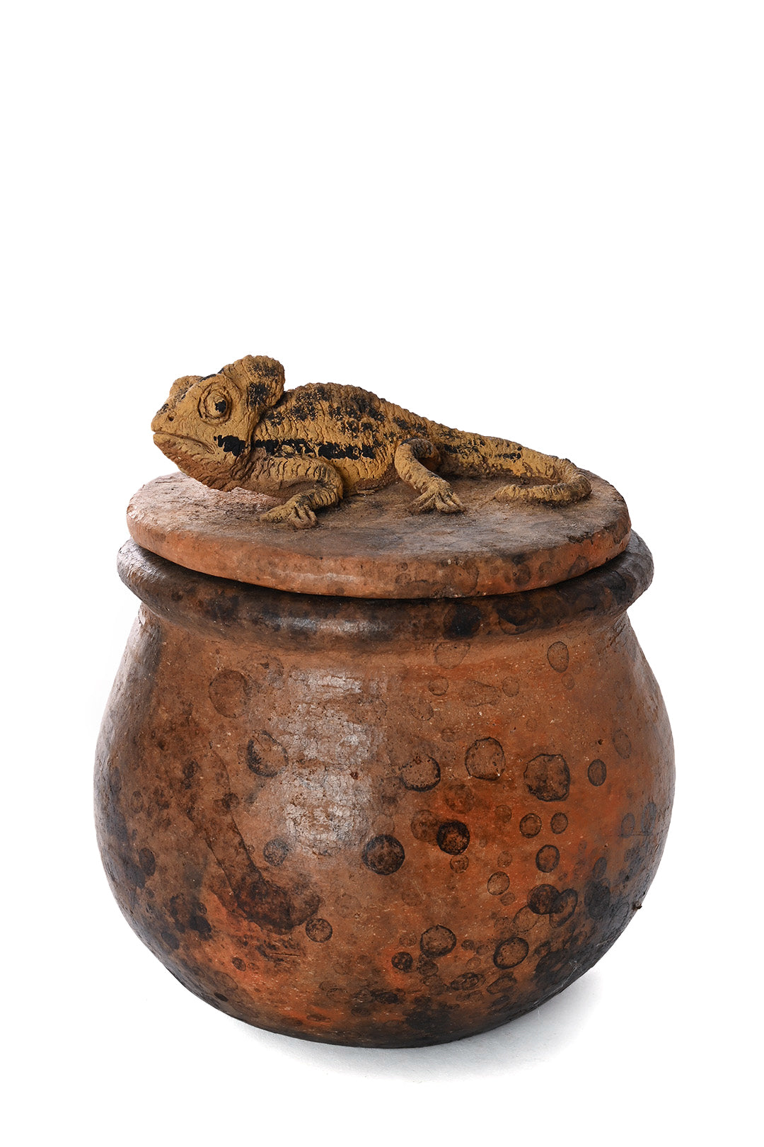 Ceramic Jar with Assorted Lizard Lid