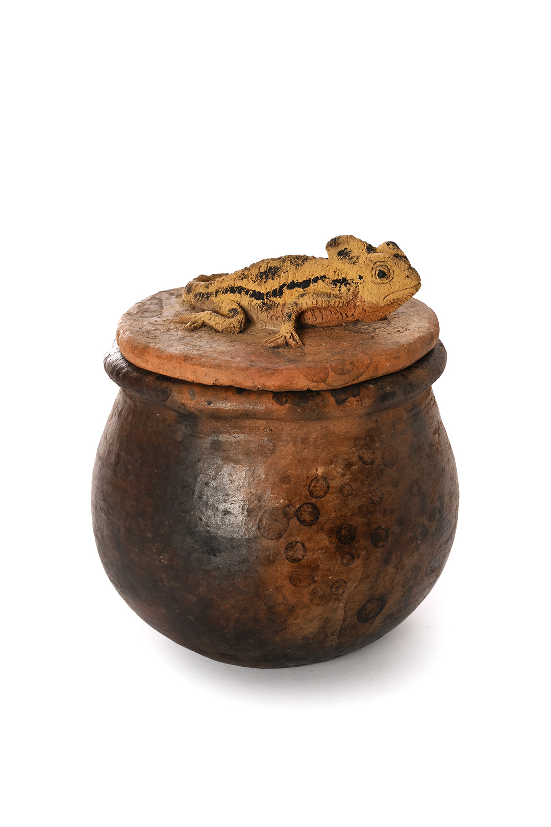 Ceramic Jar with Assorted Lizard Lid