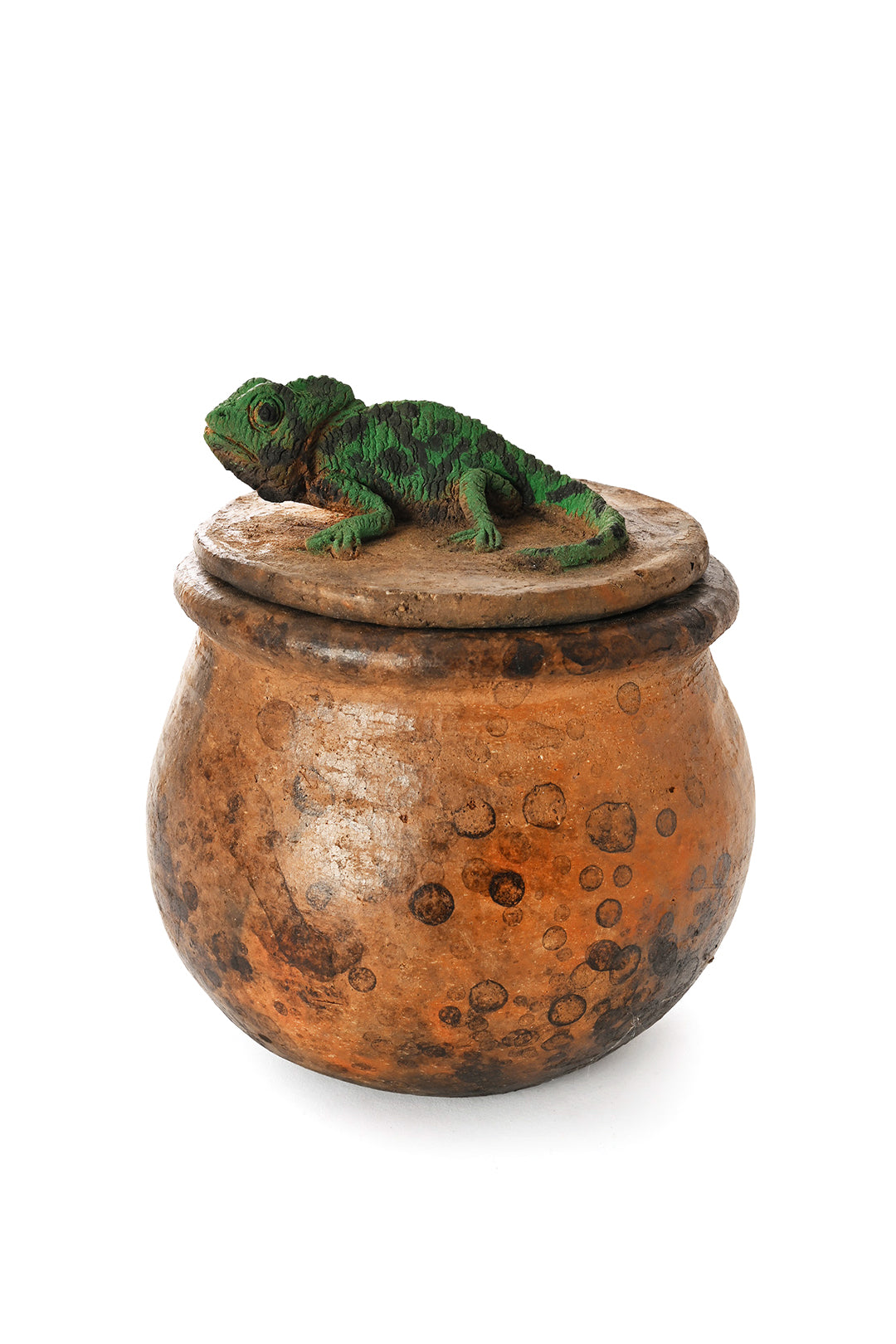 Ceramic Jar with Assorted Lizard Lid