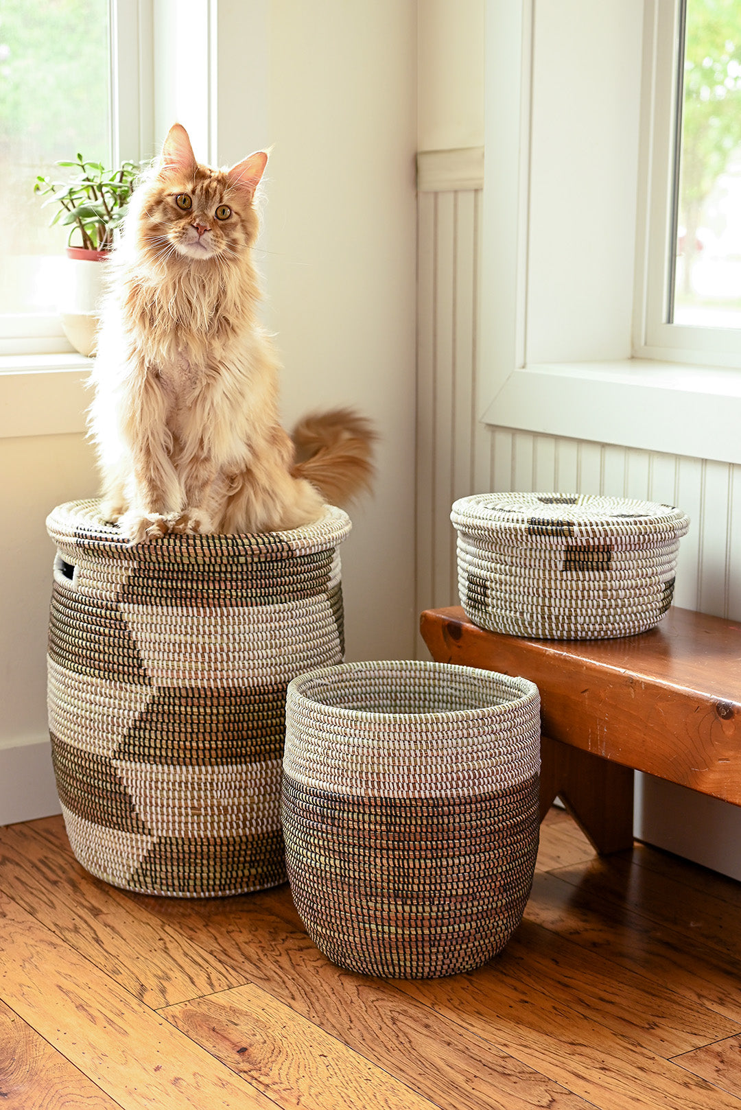 Black & White Mixed Basket Set of Three