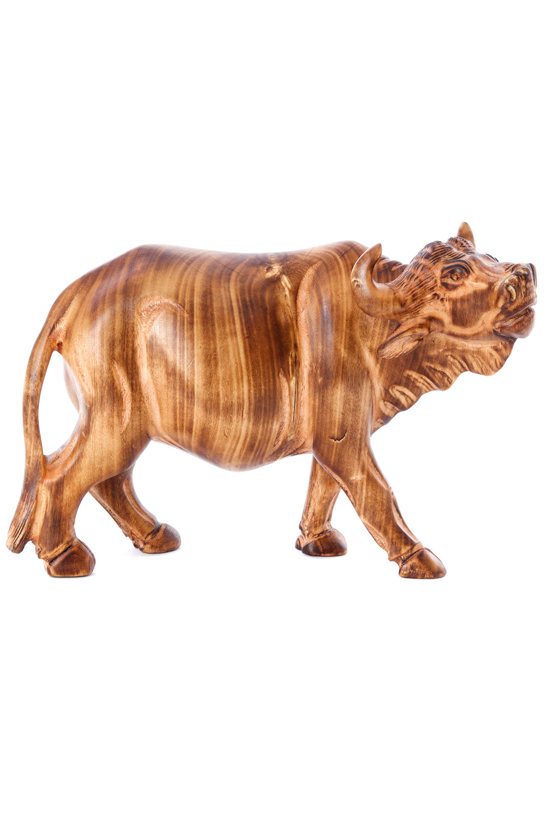 Jacaranda Water Buffalo Sculpture