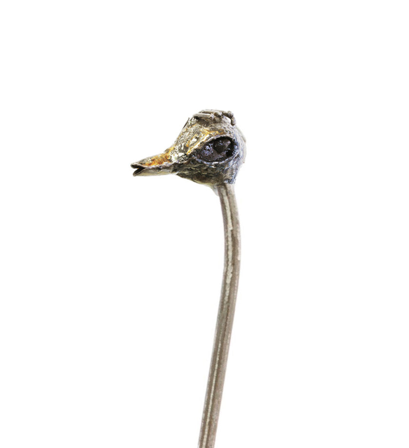 Tall Recycled Metal Ostrich Planters