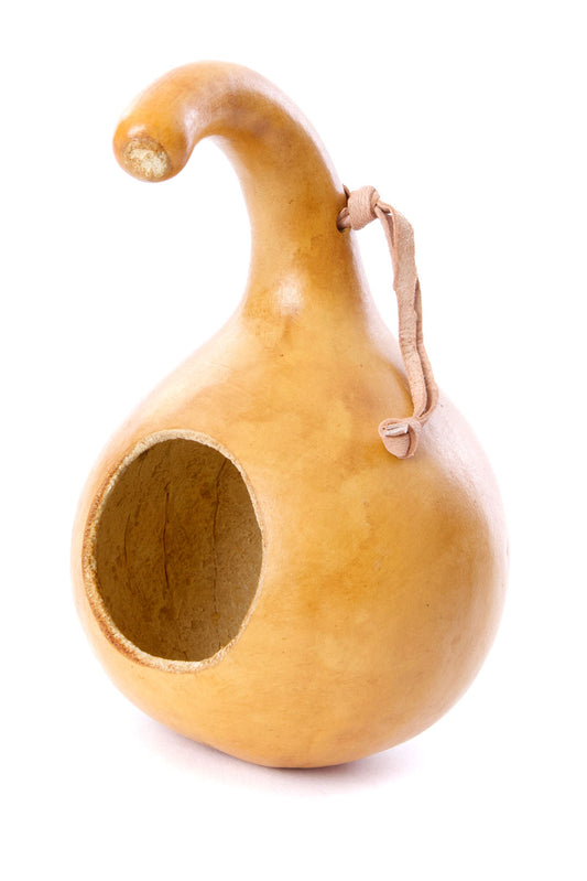 Calabash Gourd Bird Houses