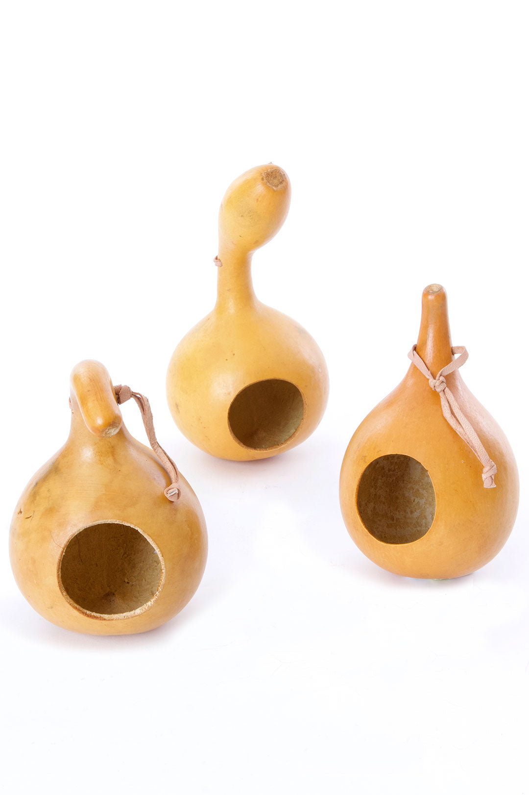 Calabash Gourd Bird Houses