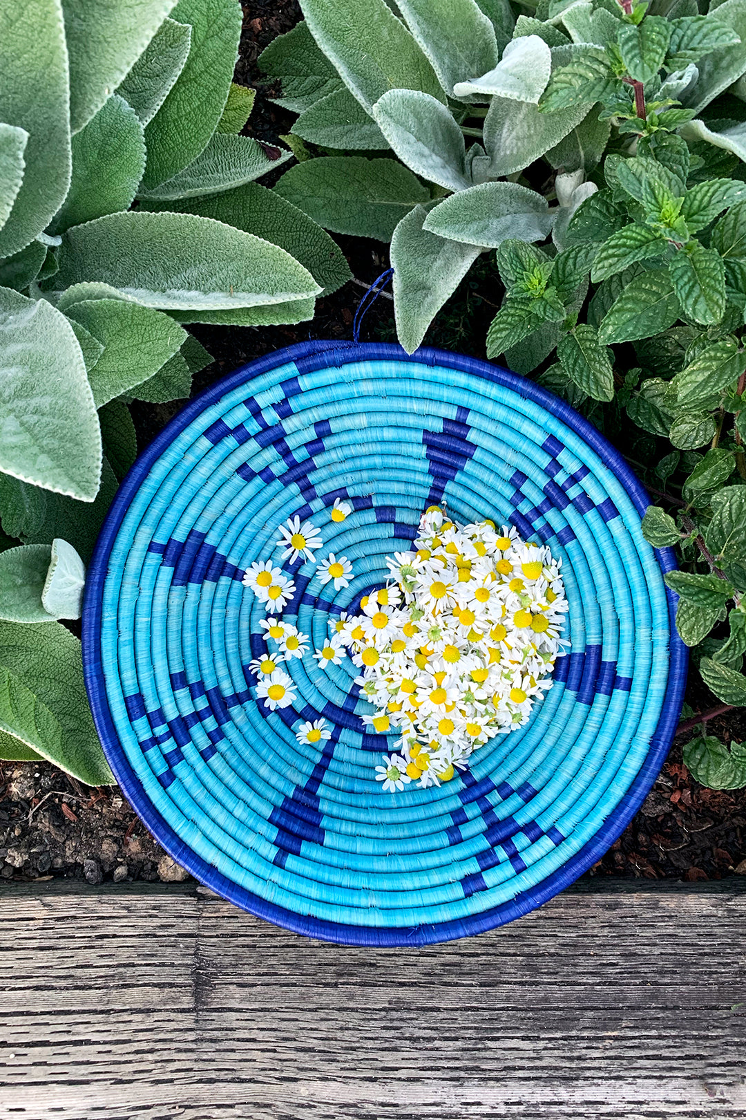 Blue Meadow Coiled Raffia Basket Default Title