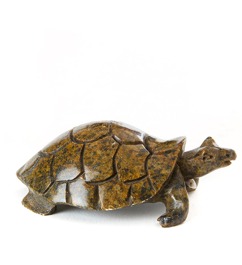 Stone Textured Box Turtle Sculpture