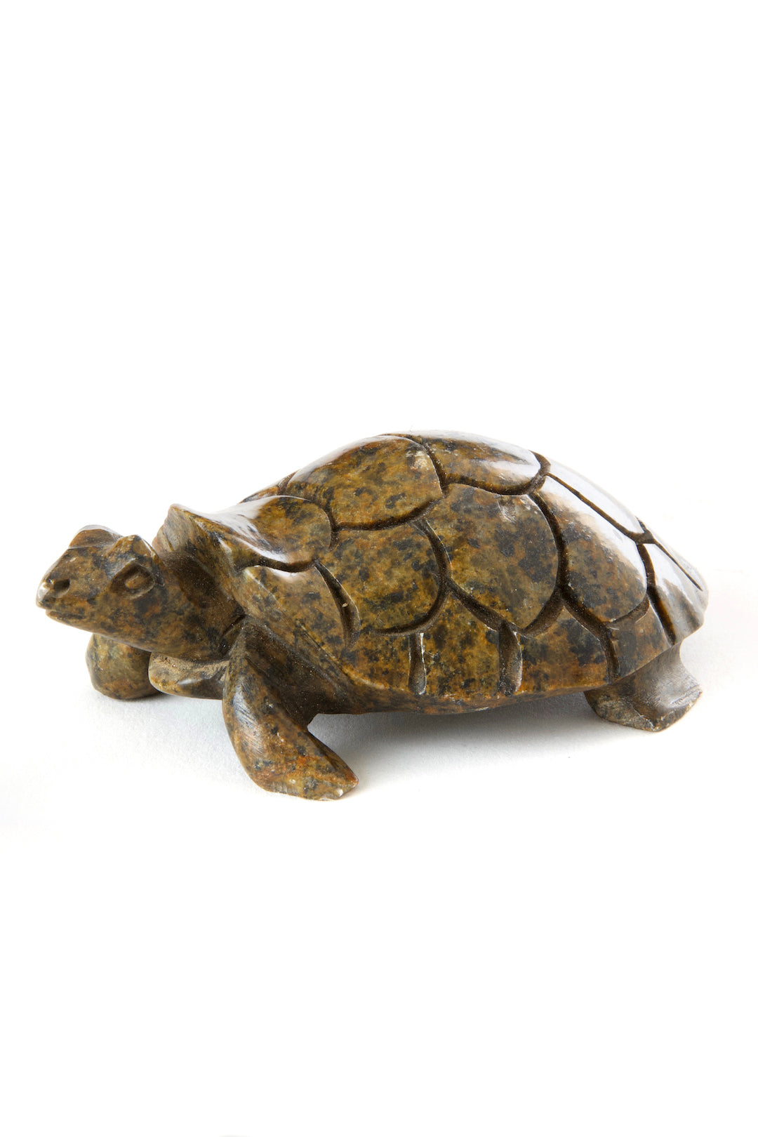 AMELIA HIDING- Stone Textured Box Turtle Sculpture Stone Textured Box Turtle Sculpture