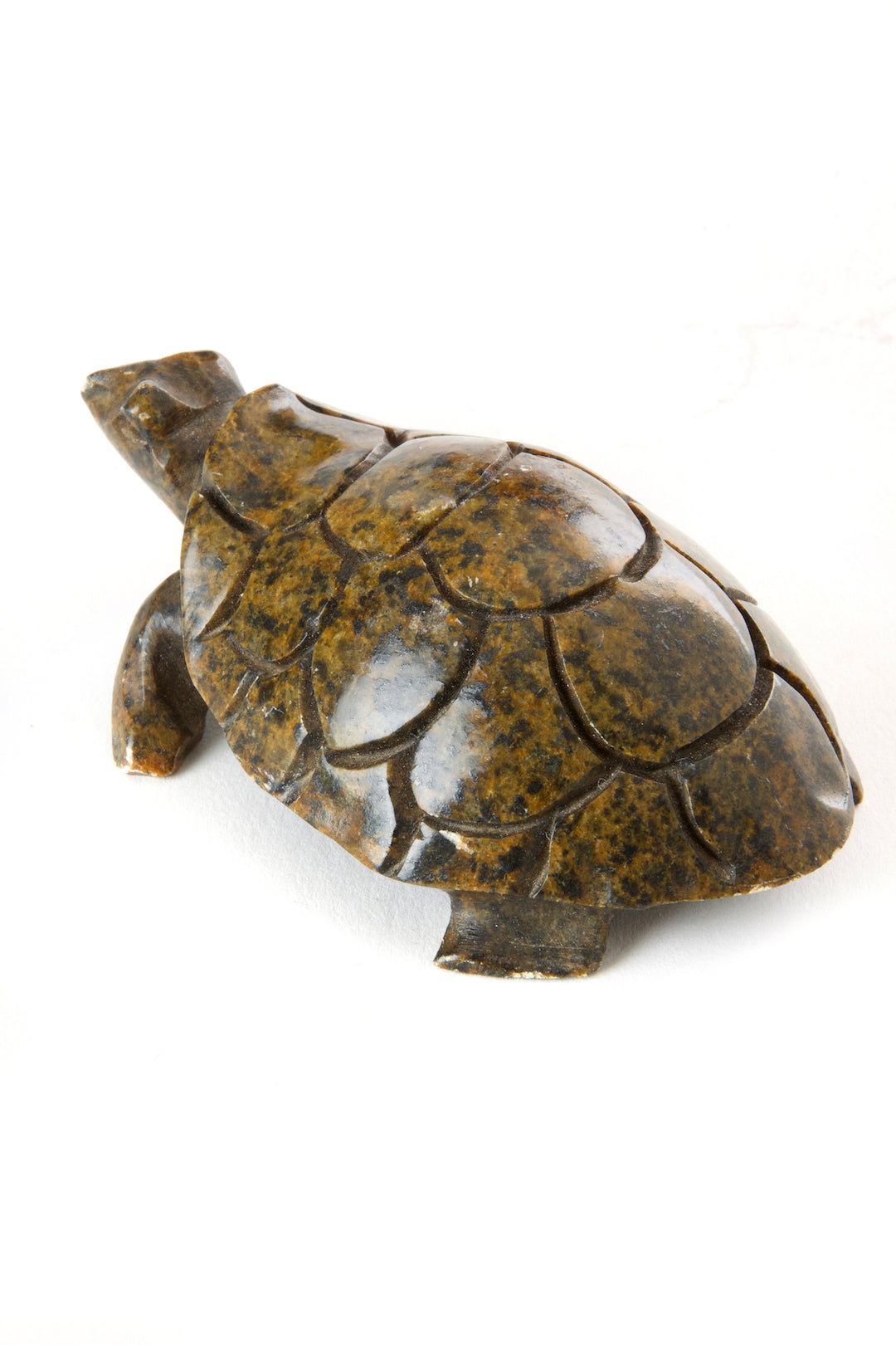 AMELIA HIDING- Stone Textured Box Turtle Sculpture Stone Textured Box Turtle Sculpture